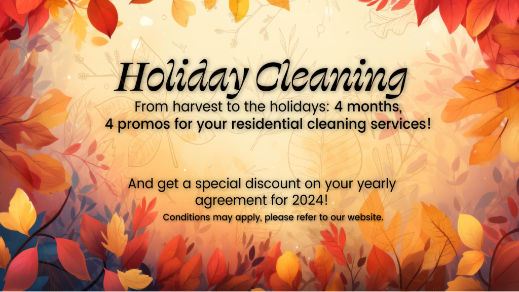 Are There Special Cleaning Packages Available For Holidays?