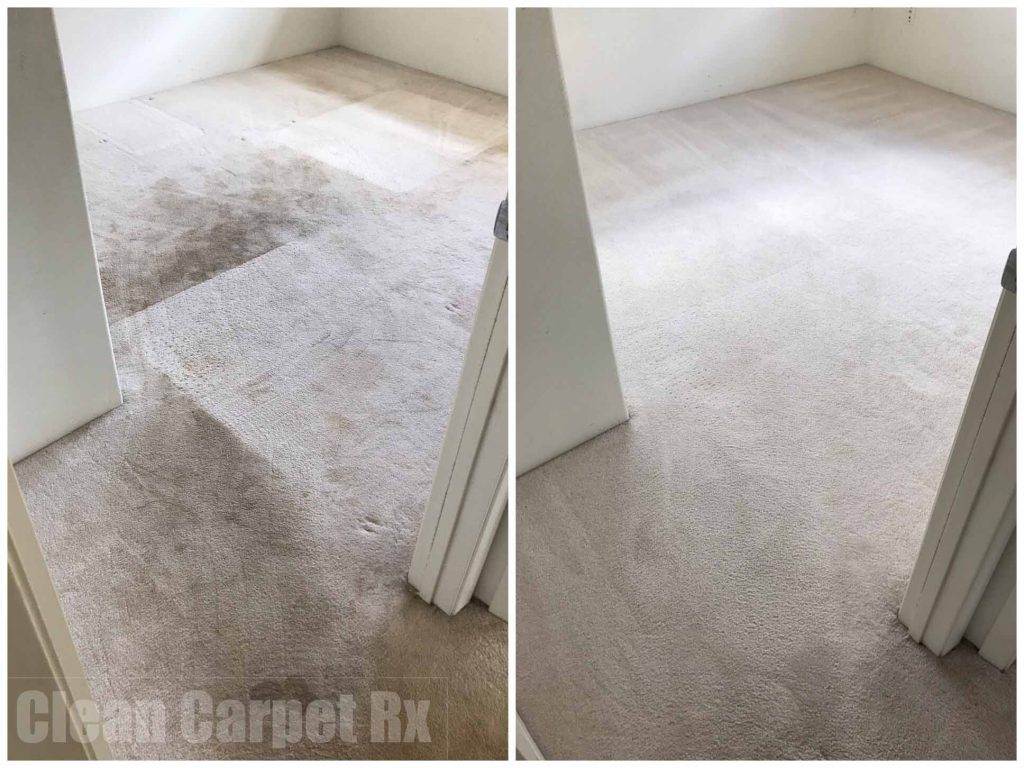 Should You Clean Carpet Before Moving In?