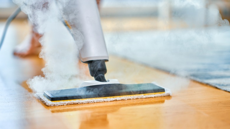 Is Steam Cleaning A Common Service For Certain Areas?